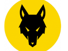 wolf_0