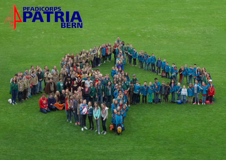 Foto Lilie DIN A Logo Text