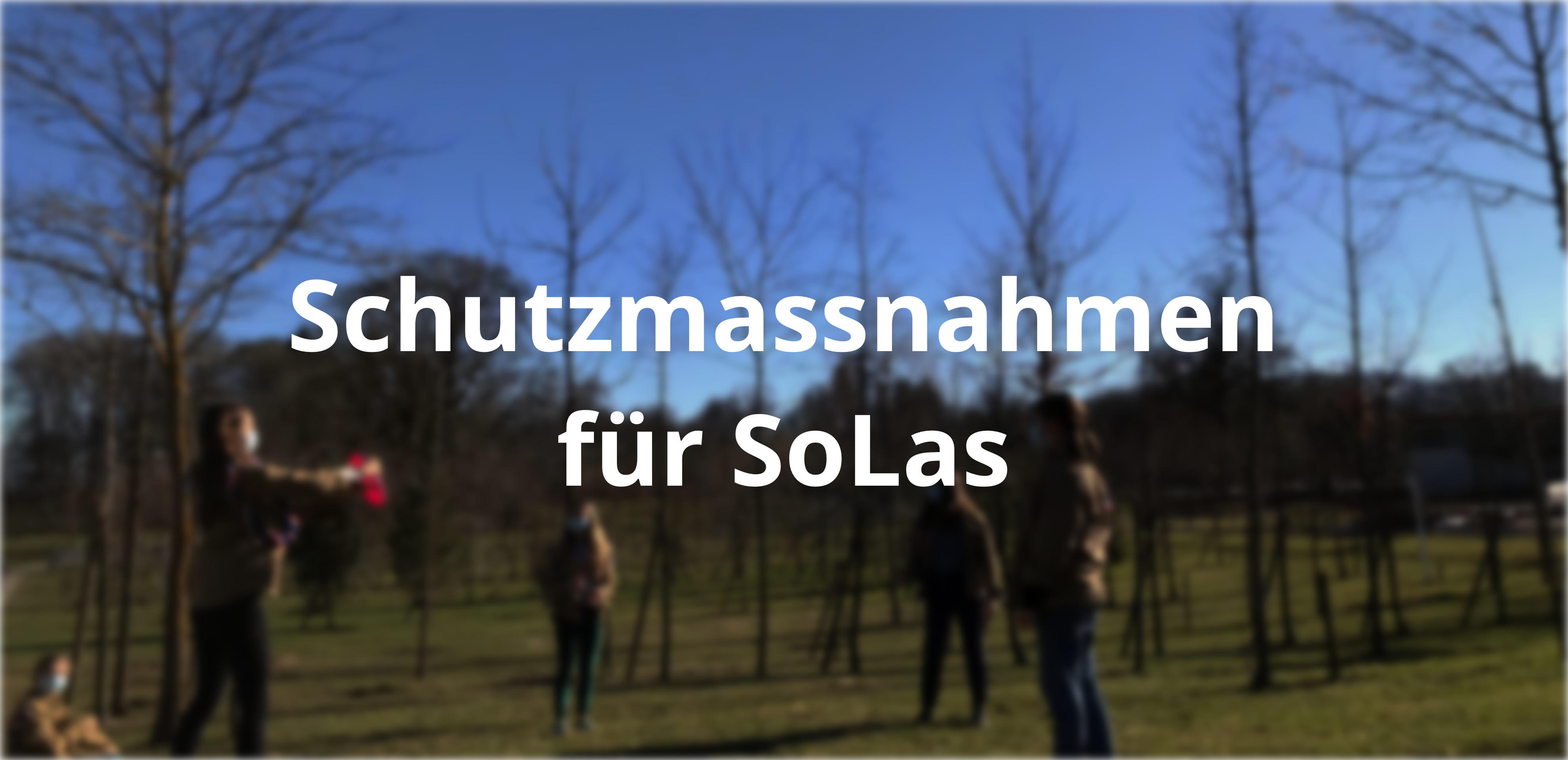 WordPress_SoLa_Annoucement